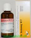Dr. Reckeweg R 17